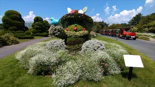 はままつフラワーパーク・ふらまる植栽
