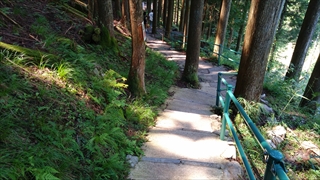 大滝鍾乳洞・帰路