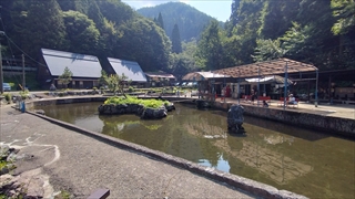 大滝鍾乳洞・ニジマス池