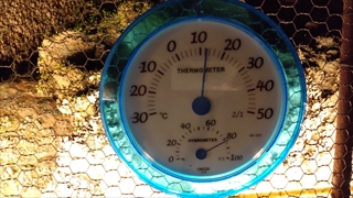 大滝鍾乳洞・温度計