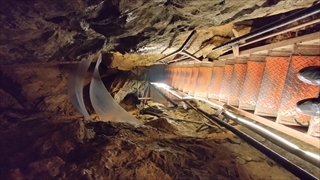 大滝鍾乳洞・内部