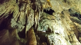 大滝鍾乳洞・内部