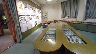 揖斐川町谷汲昆虫館／昆虫標本展示