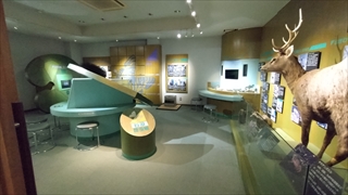 揖斐川町谷汲昆虫館／2階展示室