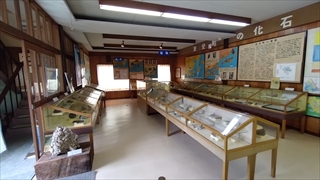 東栄町立博物館・東栄町の化石